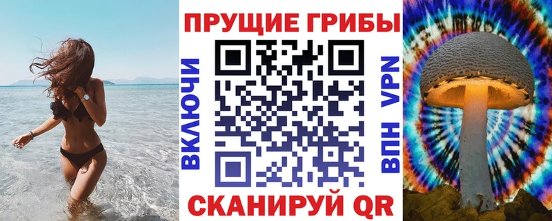 Галлюциногенные грибы GOLDEN TEACHER Новая Усмань